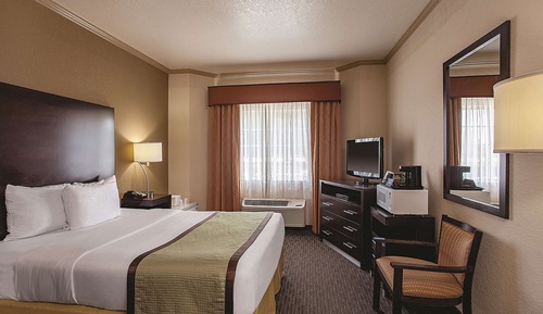 Room, 1 Queen Bed, Accessible, Park View (Mobility/Hearing Impaired Accessible)
