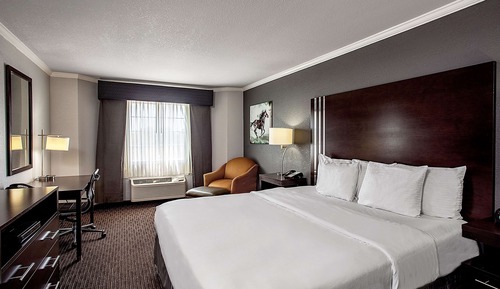 Room, 1 King Bed, Non Smoking, Pool View