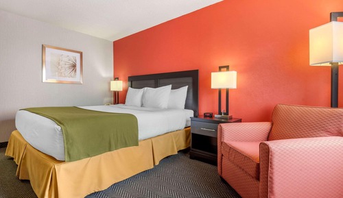 Standard Room, 1 King Bed, Non Smoking