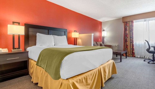 Room, 1 Queen Bed, Non Smoking