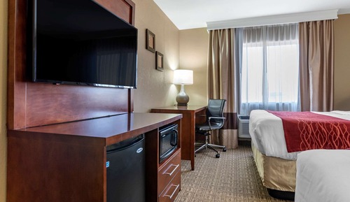 Suite (Double Queen)