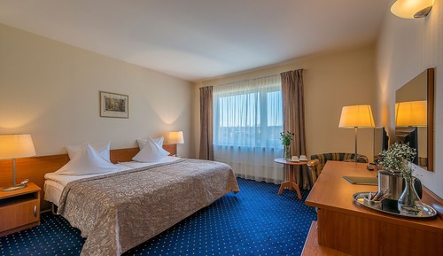 Superior Double or Twin Room