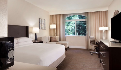 Room, 1 King Bed, Allergy Friendly