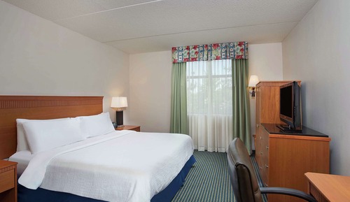 Premium Suite, 1 King Bed with Sofa bed (Wellness)