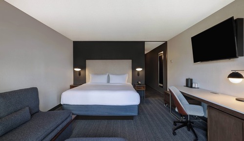 Room, 1 King Bed with Sofa bed