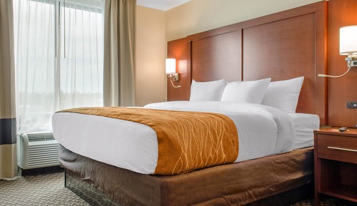 Room, 1 King Bed, Accessible, Non Smoking