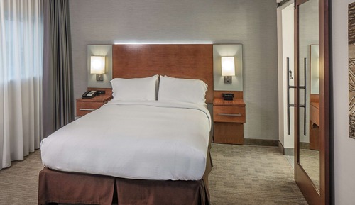 Suite, 1 King Bed