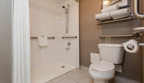 Standard Room, 1 Queen Bed, Roll-in Shower
