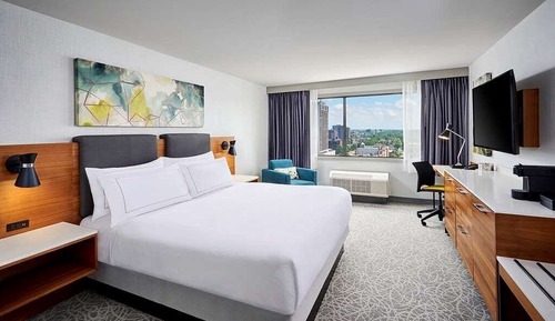 Room, 1 King Bed