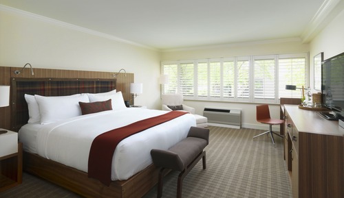 Deluxe King Bed