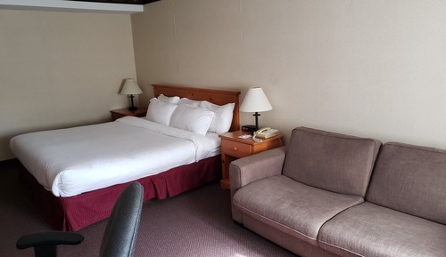 Room, 1 King Bed with Sofa bed, Non Smoking (Lower Level)