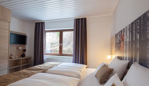 Standard Apartment, Multiple Beds (with Sofabed)