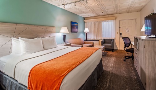 Standard Room, 1 King Bed, Non Smoking, Refrigerator & Microwave (Larger Room;with Sofabed)