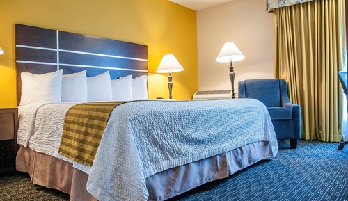 Standard Room, 1 King Bed, Non Smoking, Refrigerator