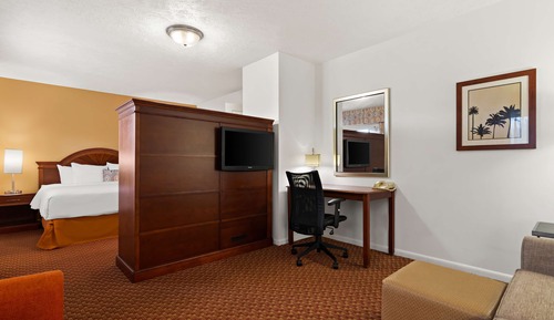 Standard Suite, 1 King Bed with Sofa bed, Non Smoking (with Sofabed)