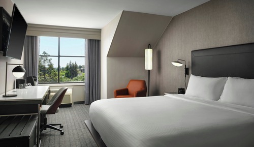 Room, 1 King Bed