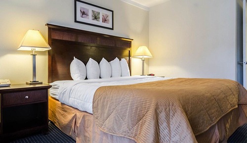 Standard Room, 1 King Bed, Non Smoking