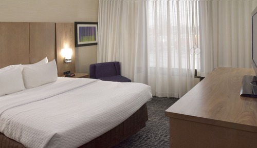 Suite, 1 King Bed with Sofa bed