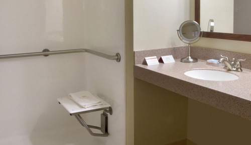 Standard Room, 1 Queen Bed, Roll-in Shower (Communications)