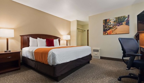 Standard Room, 1 King Bed, Non Smoking