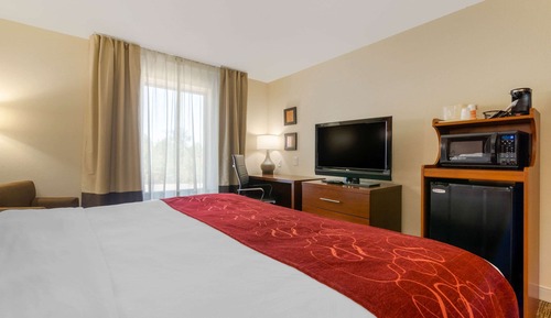 Room, 1 King Bed, Accessible, Non Smoking