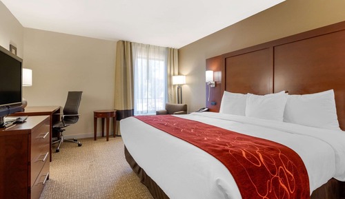 Standard Room, 1 King Bed, Non Smoking