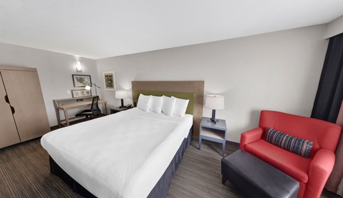 Room, 1 King Bed, Non Smoking