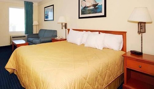 Standard Room, 1 King Bed, Accessible