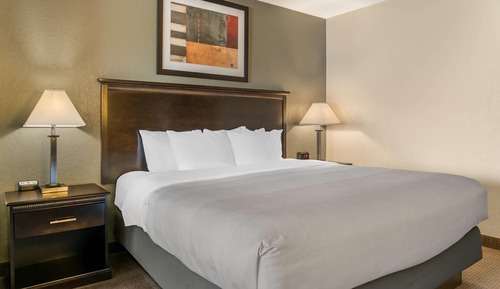 Standard Room, 1 King Bed, Non Smoking
