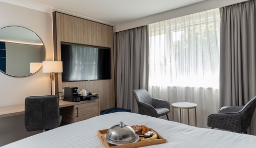 Executive Room, 1 King Bed