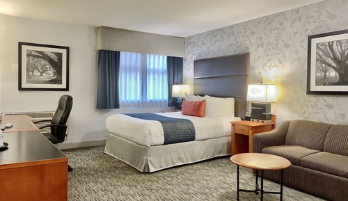 Standard Room, 1 Queen Bed, Non Smoking, Kitchenette (with Sofabed)