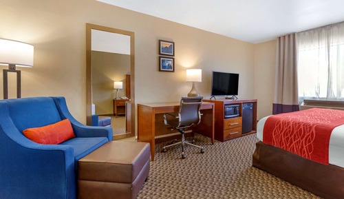 Standard Room, 1 King Bed, Non Smoking