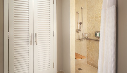 Traditional Room, 1 King Bed, Roll-in Shower
