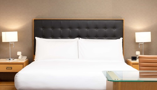Business Room, 1 King Bed (Deluxe)