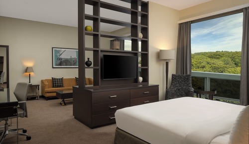 Deluxe Suite