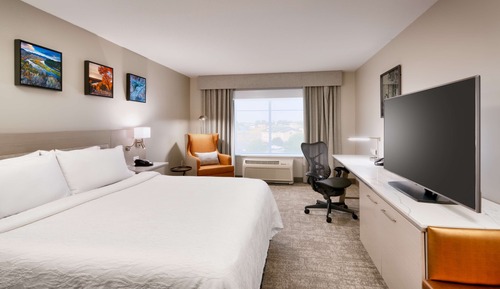 Room, 1 King Bed, Accessible