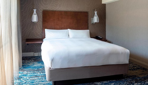 Room, 1 King Bed