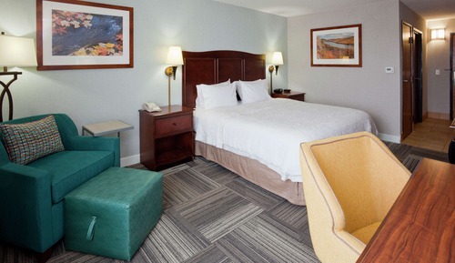 Room, 1 King Bed, Accessible, Bathtub