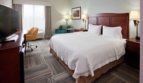 Room, 1 King Bed, Accessible, Non Smoking (Roll-in Shower)