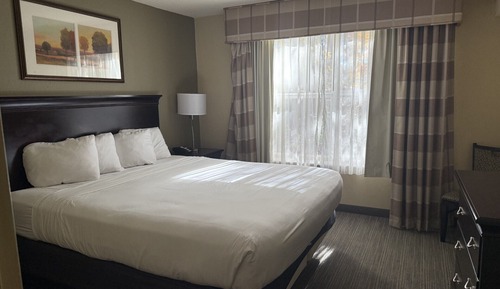 Suite, 1 King Bed with Sofa bed, Non Smoking
