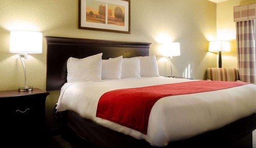 Room, 1 Queen Bed, Non Smoking