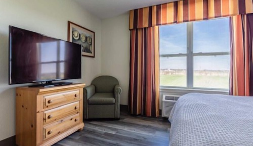 Pet Friendly Suite, 1 Bedroom