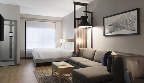 Room, 1 King Bed with Sofa bed, Refrigerator & Microwave (Specialty)