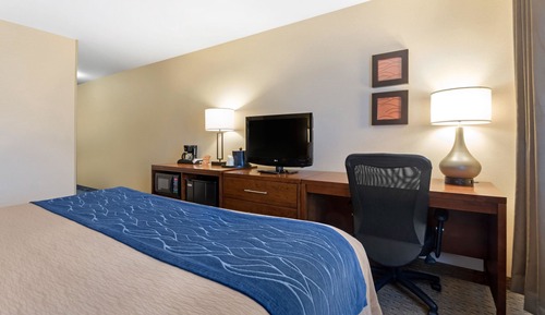 Suite, 1 King Bed with Sofa bed, Non Smoking