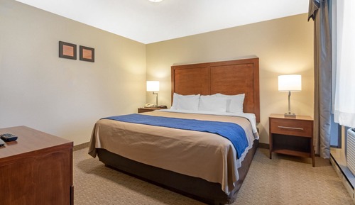 Standard Room, 1 King Bed with Sofa bed, Non Smoking
