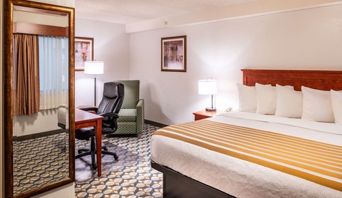 Standard Room, 1 King Bed, Non Smoking, Refrigerator