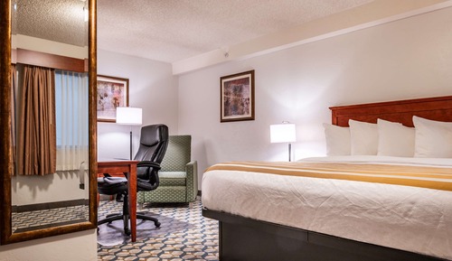 Standard Room, 1 King Bed, Non Smoking