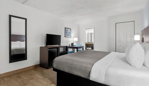 Room, 1 King Bed, Non Smoking