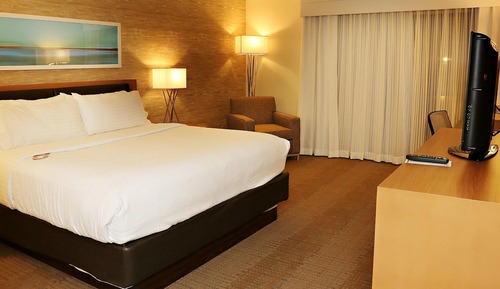 Standard Room, 1 King Bed, Non Smoking