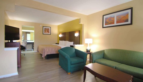 Suite, 1 King Bed with Sofa bed, Non Smoking
